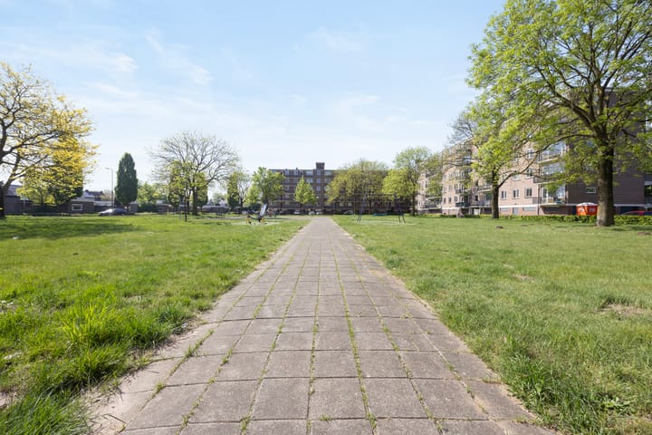 Foto 24 van Maassingel 134