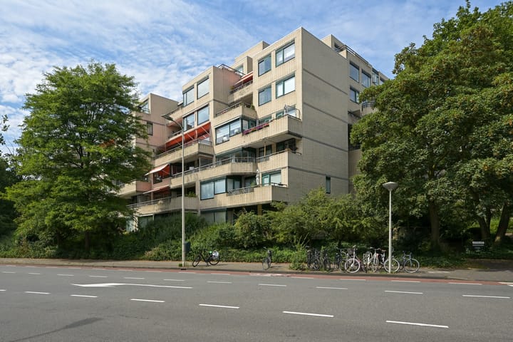 Photo 3 of Burgemeester Patijnlaan 30