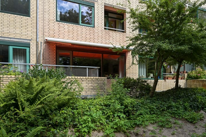 Photo 7 of Burgemeester Patijnlaan 30