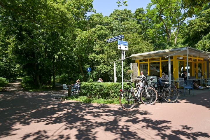 Photo 36 of Burgemeester Patijnlaan 30