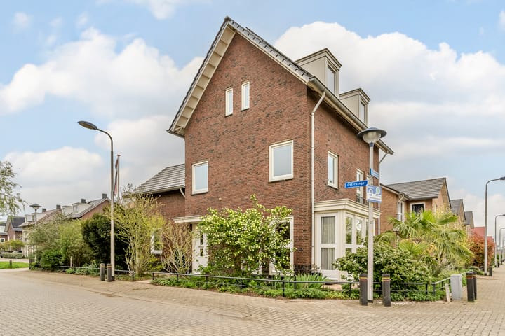 Photo 44 of Ottersingel 33