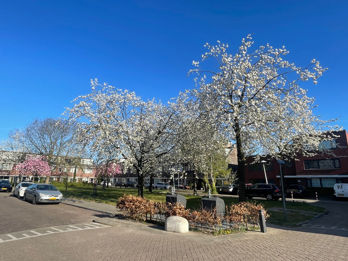 Foto 65 van Oranje-Nassaulaan 49