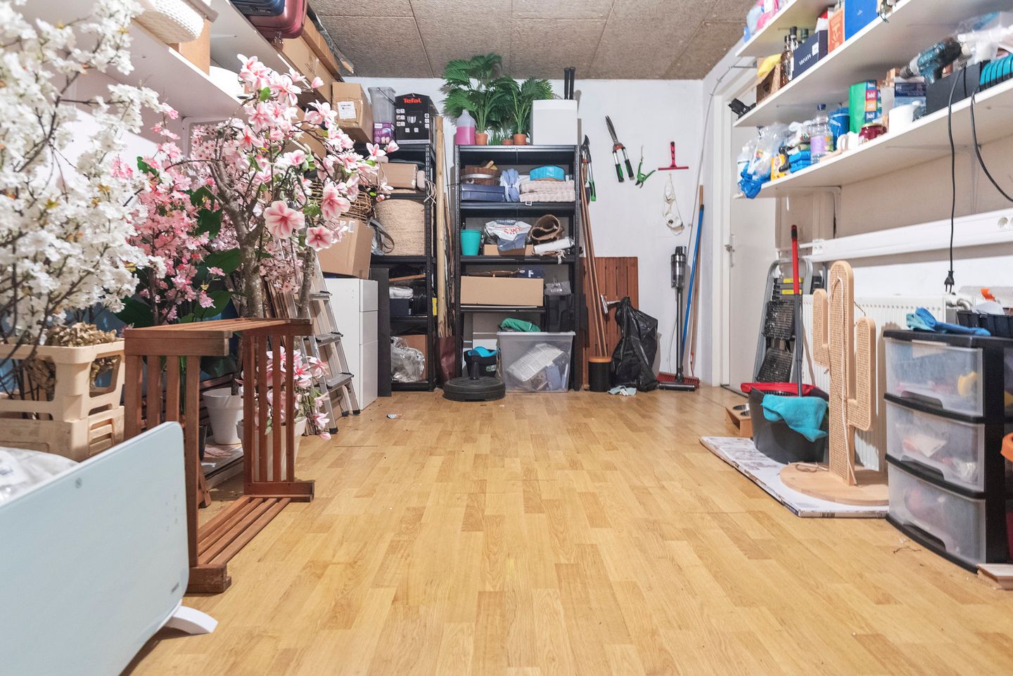 Photo 40 of Veerse Meer 37