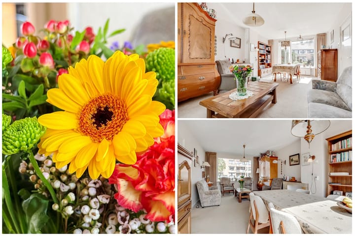 Foto 7 van Dr. Ramaerlaan 9