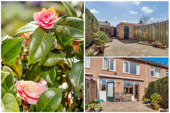 Foto 24 van Dr. Ramaerlaan 9