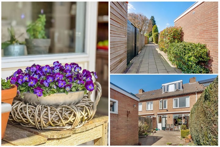 Foto 31 van Dr. Ramaerlaan 9