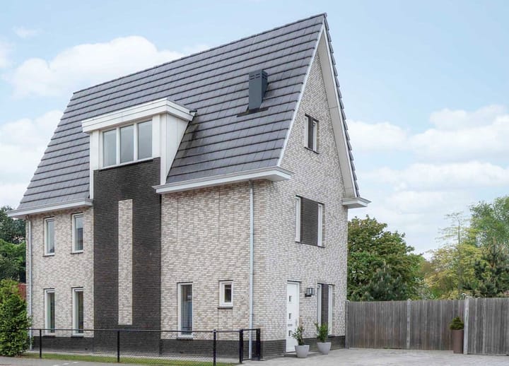 Foto 2 van Steenarend 3