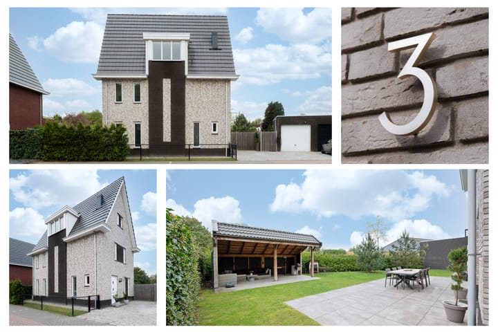 Foto 3 van Steenarend 3