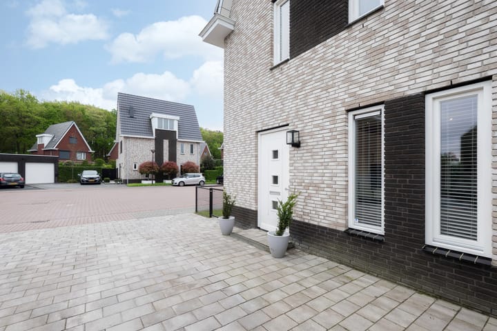 Foto 5 van Steenarend 3