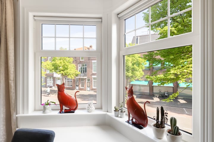 Foto 7 van Badhuisstraat 175