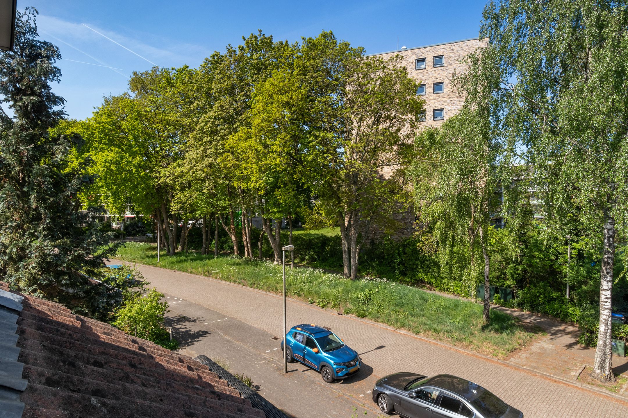 Photo 24 of Iepenlaan 101