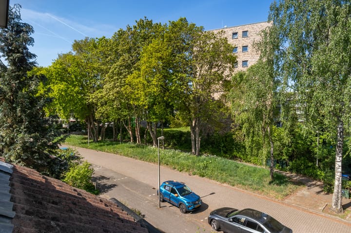 Foto 24 van Iepenlaan 101