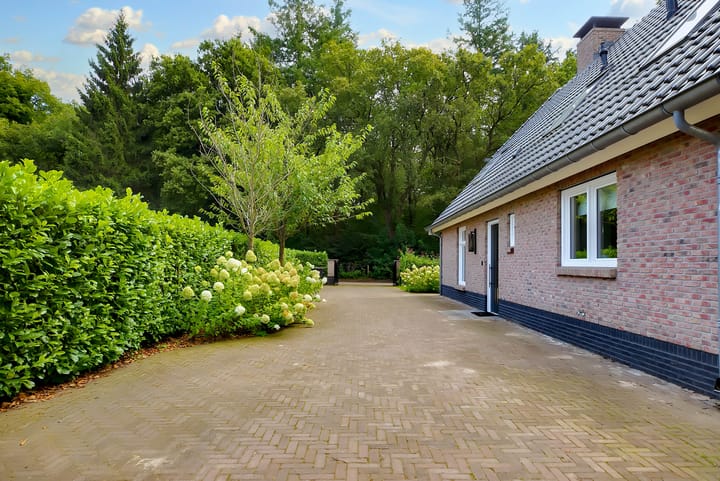 Photo 53 of De Venen 5-A