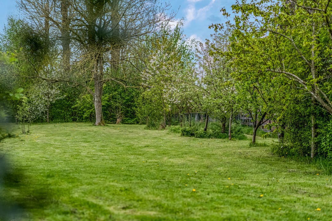 Foto 17 van Luchtenburg 54