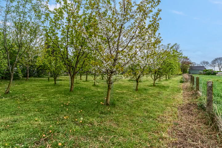 Foto 18 van Luchtenburg 54