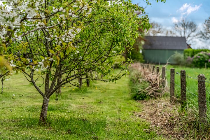 Foto 41 van Luchtenburg 54