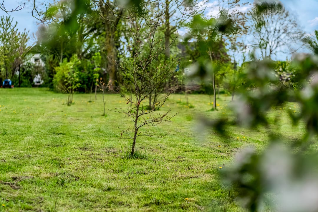 Foto 42 van Luchtenburg 54