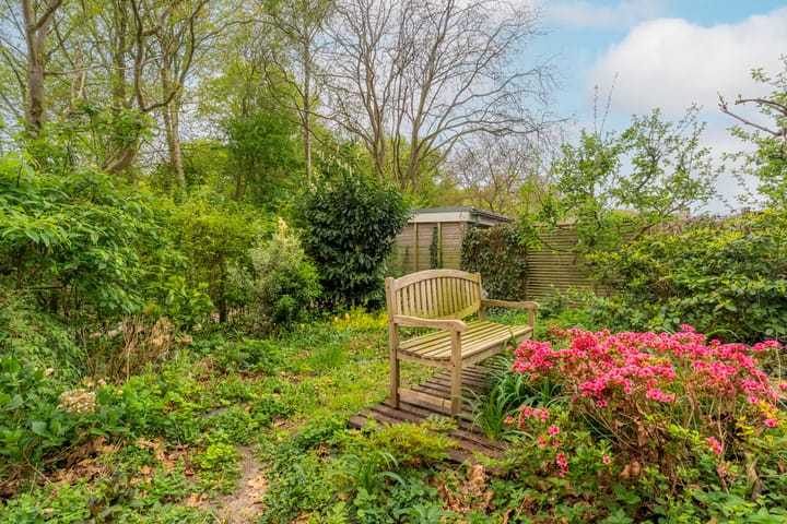 Foto 30 van Boomstede 546