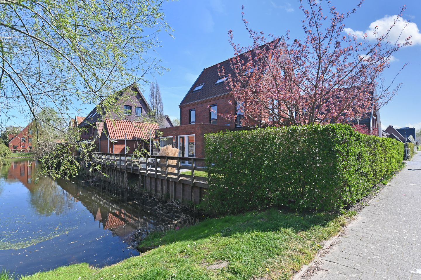 Foto 5 van Ribbelzegge 25