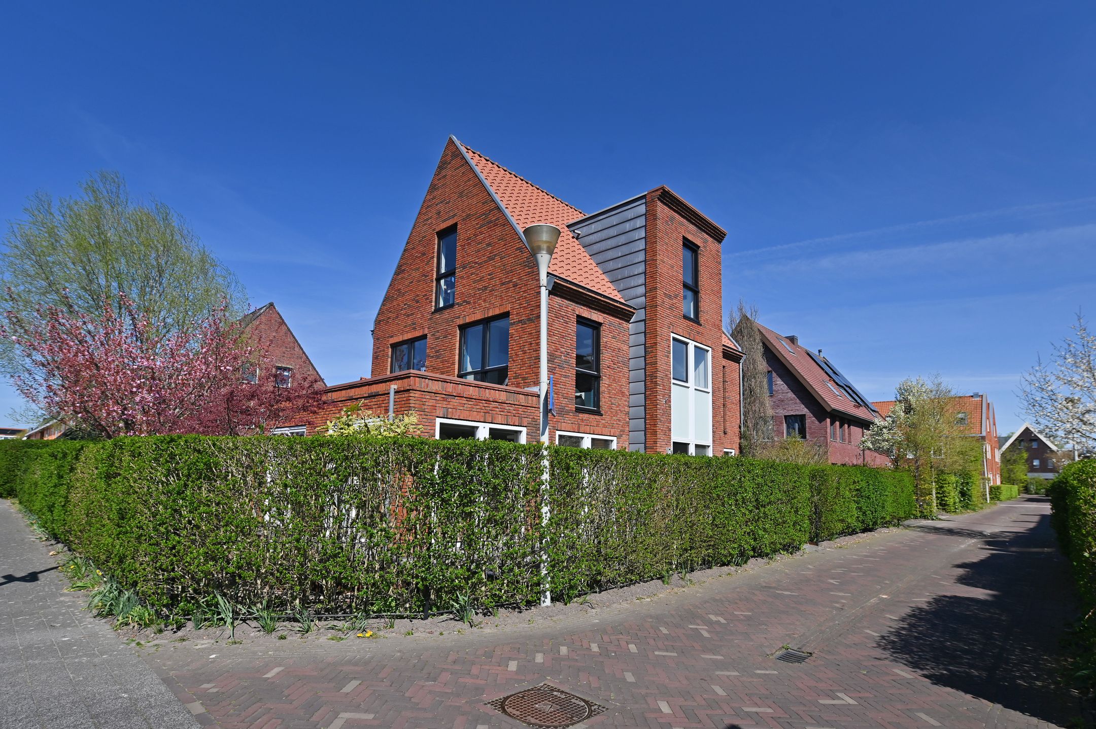 Foto 6 van Ribbelzegge 25