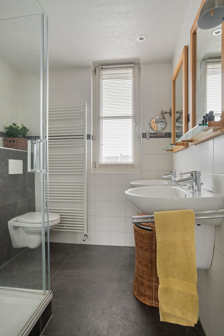 Foto 19 van de Plaetse 160