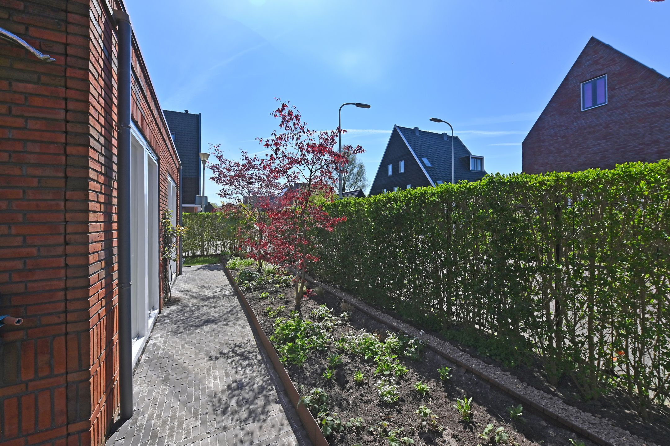 Foto 18 van Ribbelzegge 25