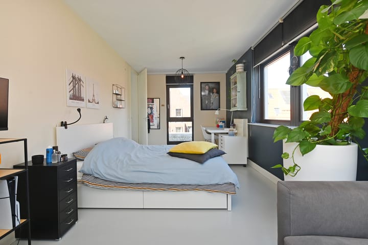 Foto 40 van Ribbelzegge 25