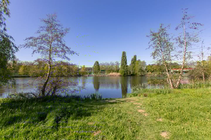 Foto 4 van Aalscholversingel 256