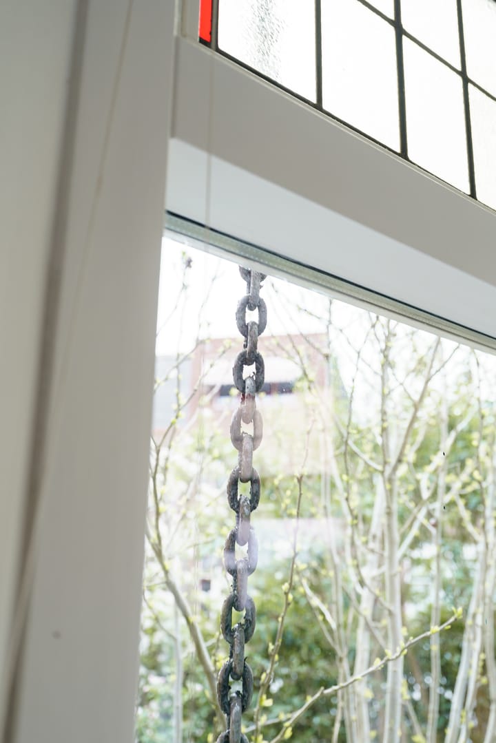 Foto 18 van Van 't Hoffstraat 113