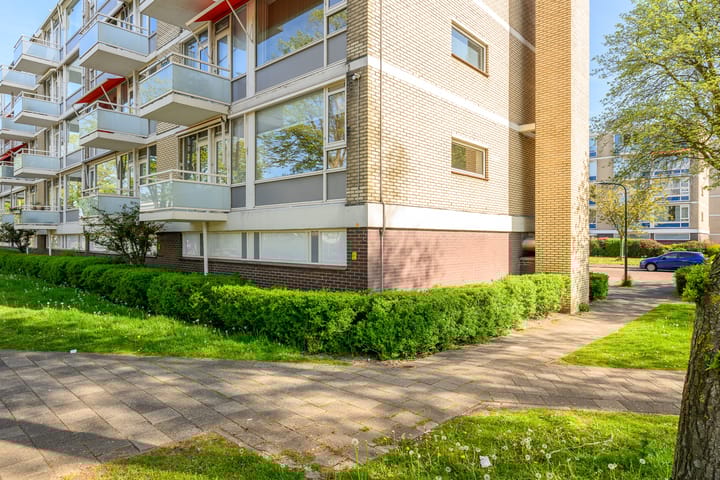 Foto 4 van Schout Van Eijklaan 240