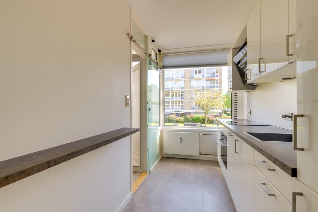 Foto 7 van Schout Van Eijklaan 240