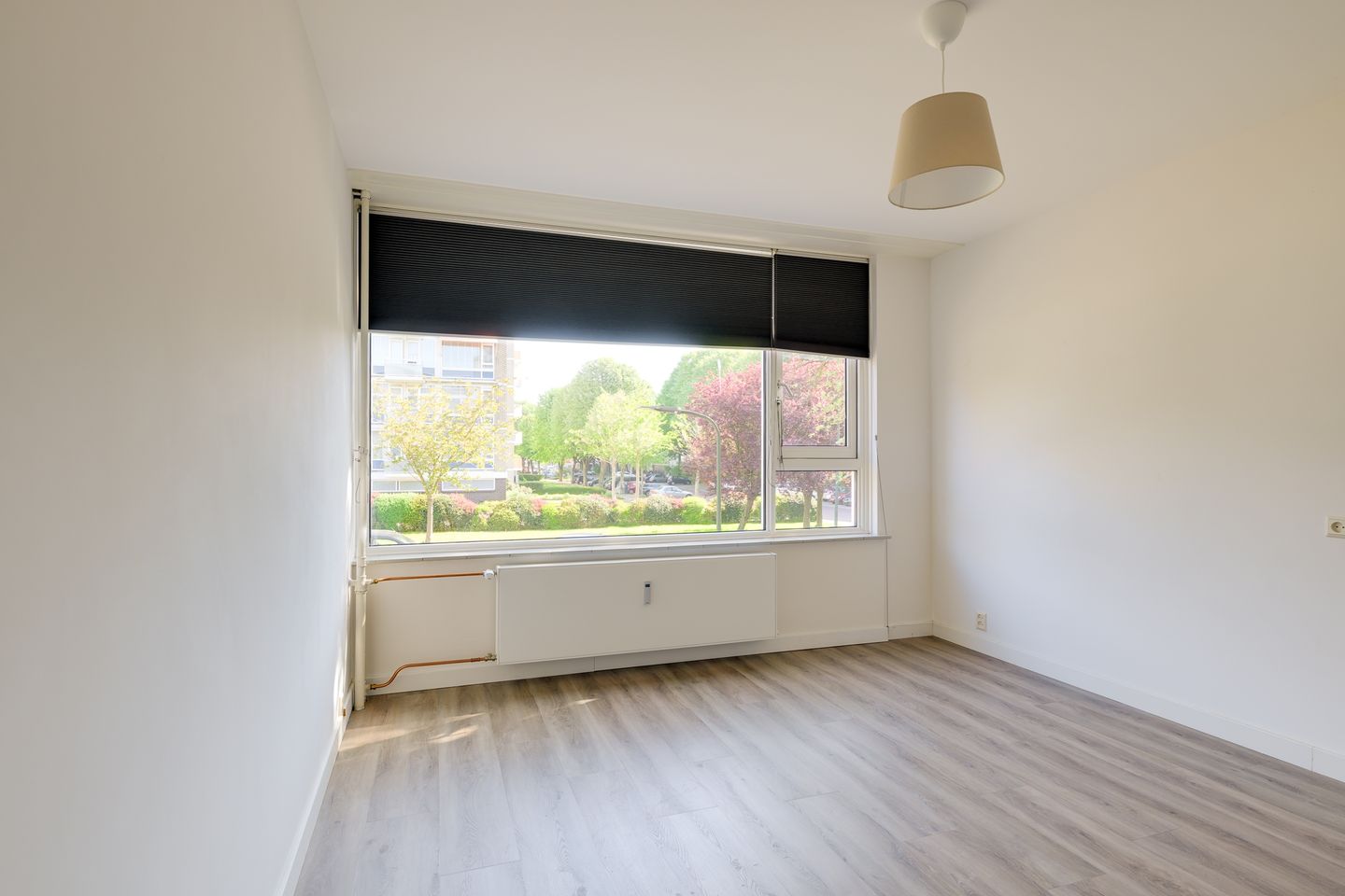 Foto 14 van Schout Van Eijklaan 240