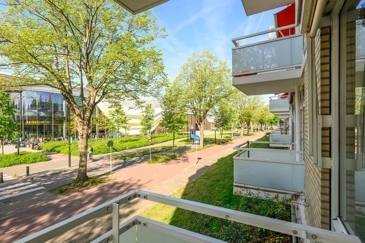 Foto 15 van Schout Van Eijklaan 240