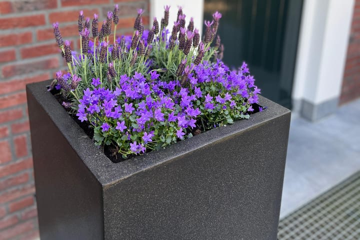 Foto 64 van Bredaseweg 204