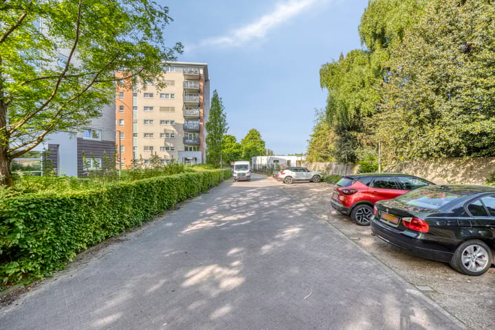 Foto 3 van Olympiade 1