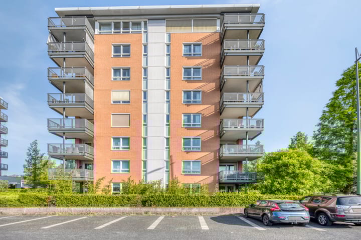 Foto 4 van Olympiade 1