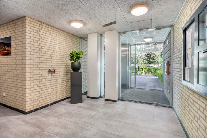 Foto 6 van Olympiade 1