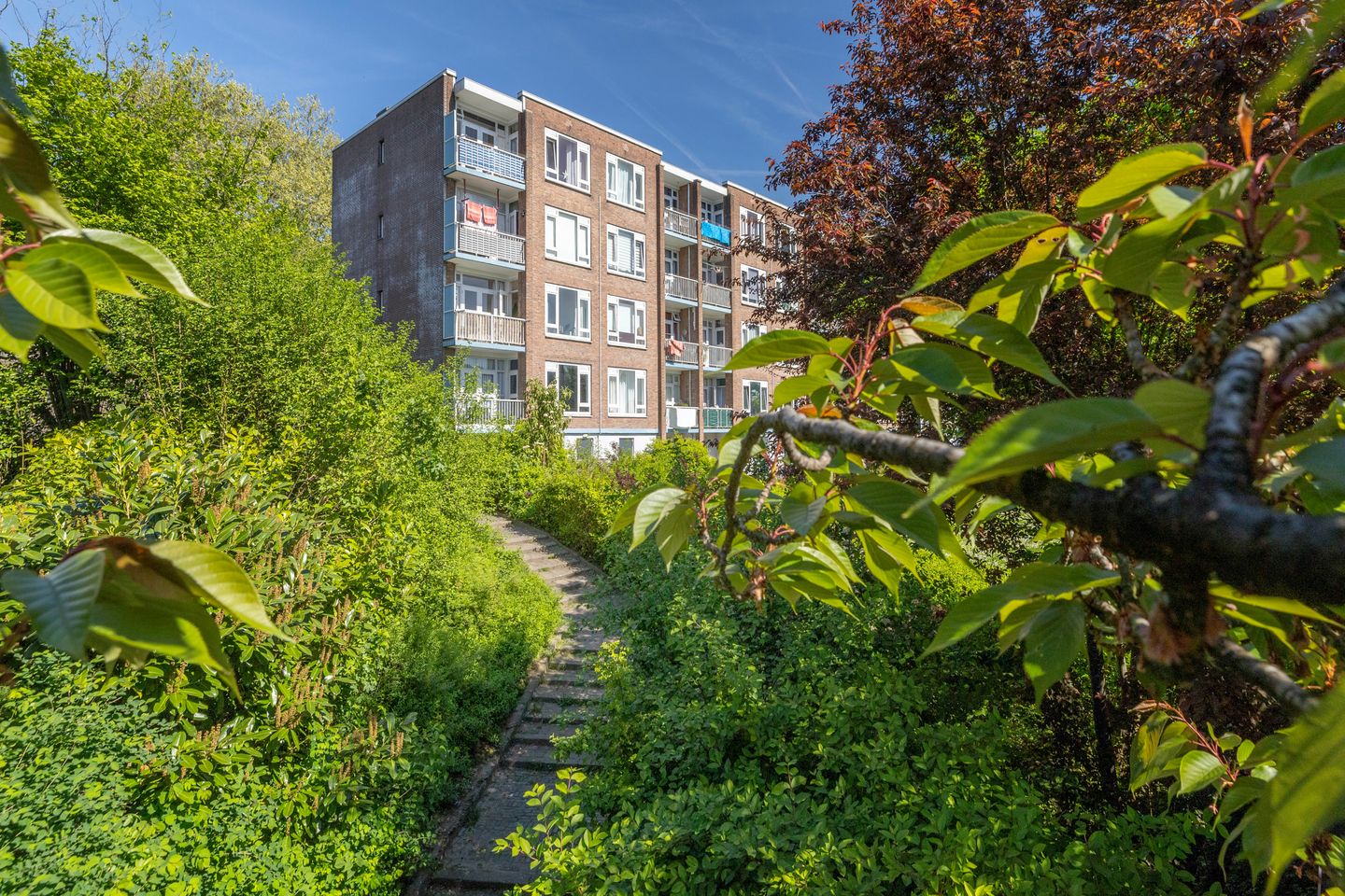 Foto 1 van Burgemeester Bloemersweg 32-2