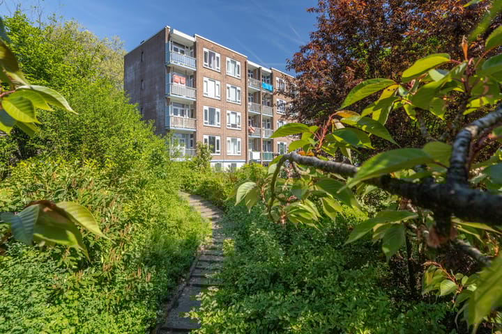 Foto 1 van Burgemeester Bloemersweg 32-2