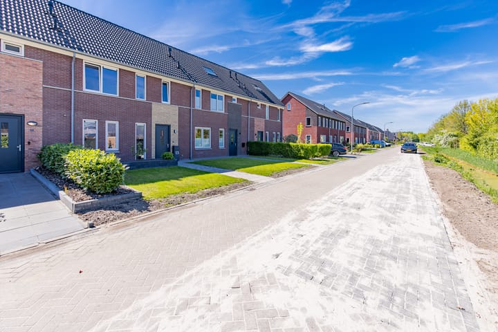 Foto 2 van Pimpernel 13