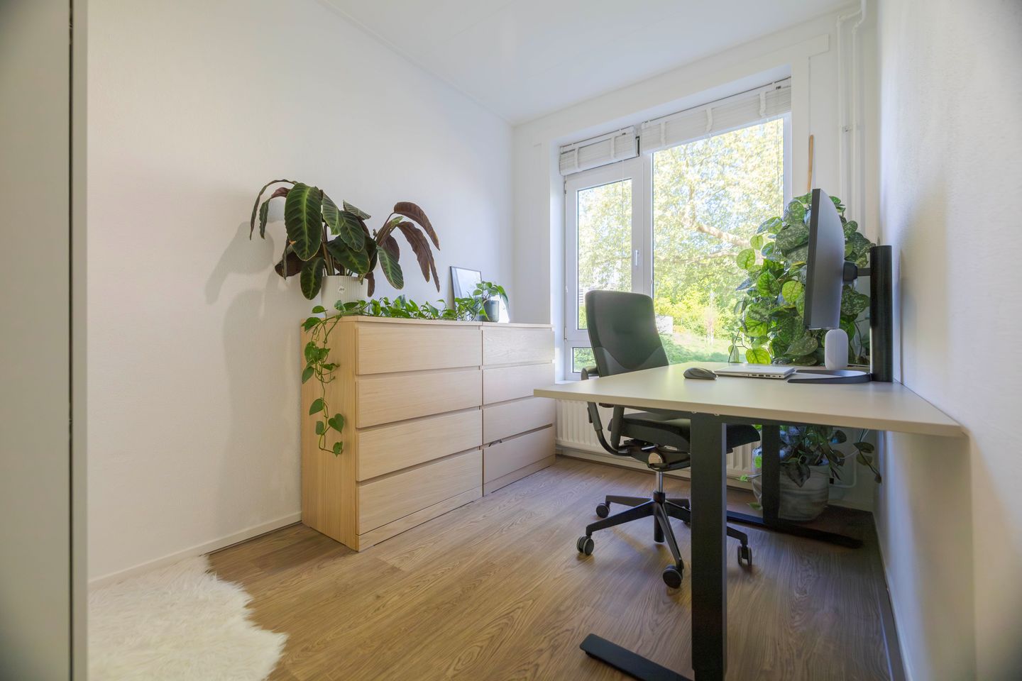 Photo 20 of Burgemeester Bloemersweg 32-2