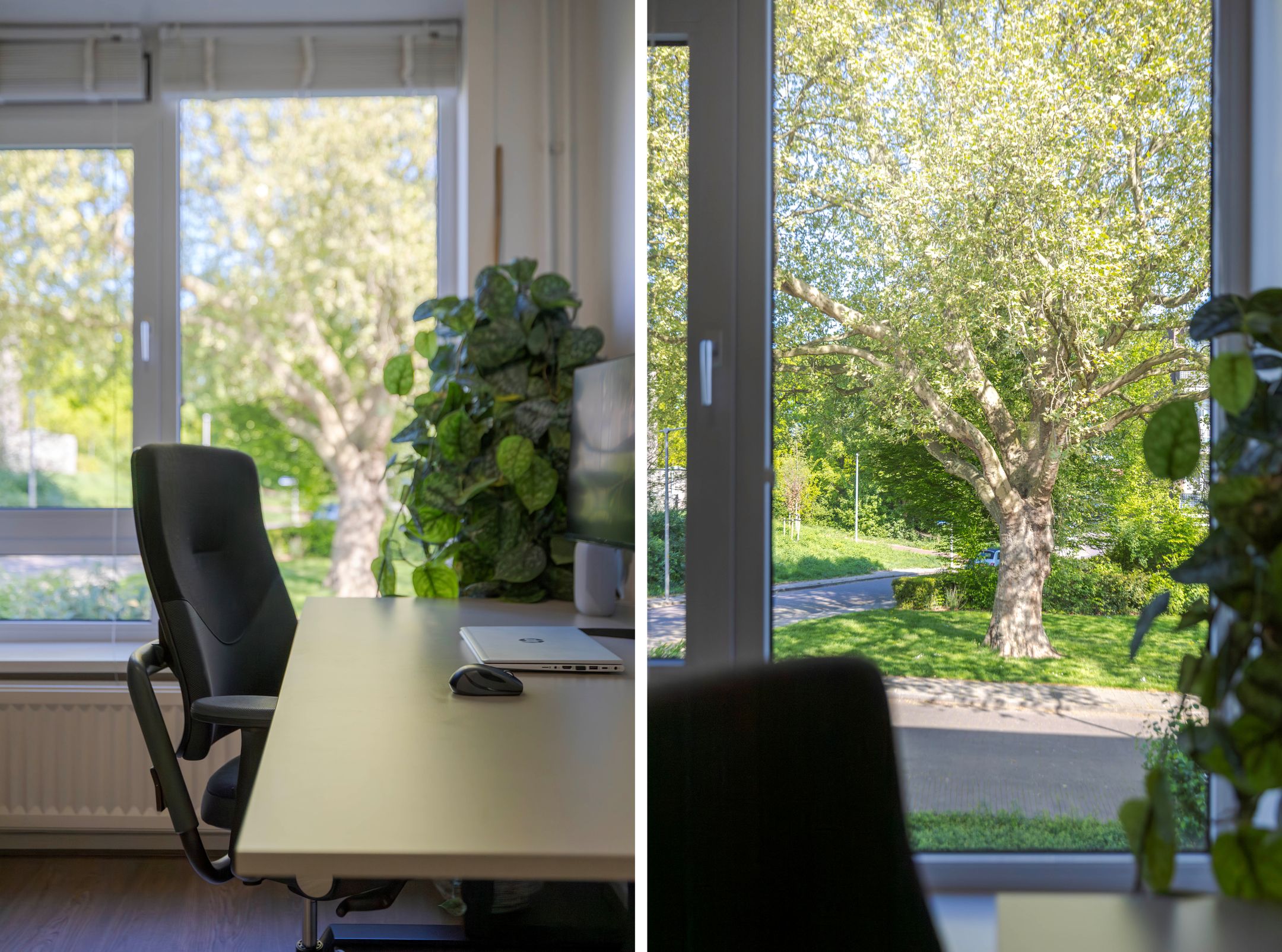 Photo 21 of Burgemeester Bloemersweg 32-2