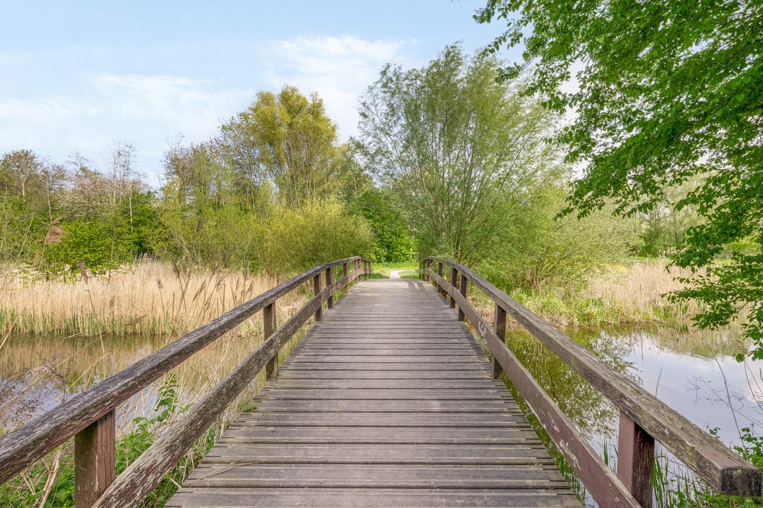 Photo 32 of Piet de Winterlaan 7