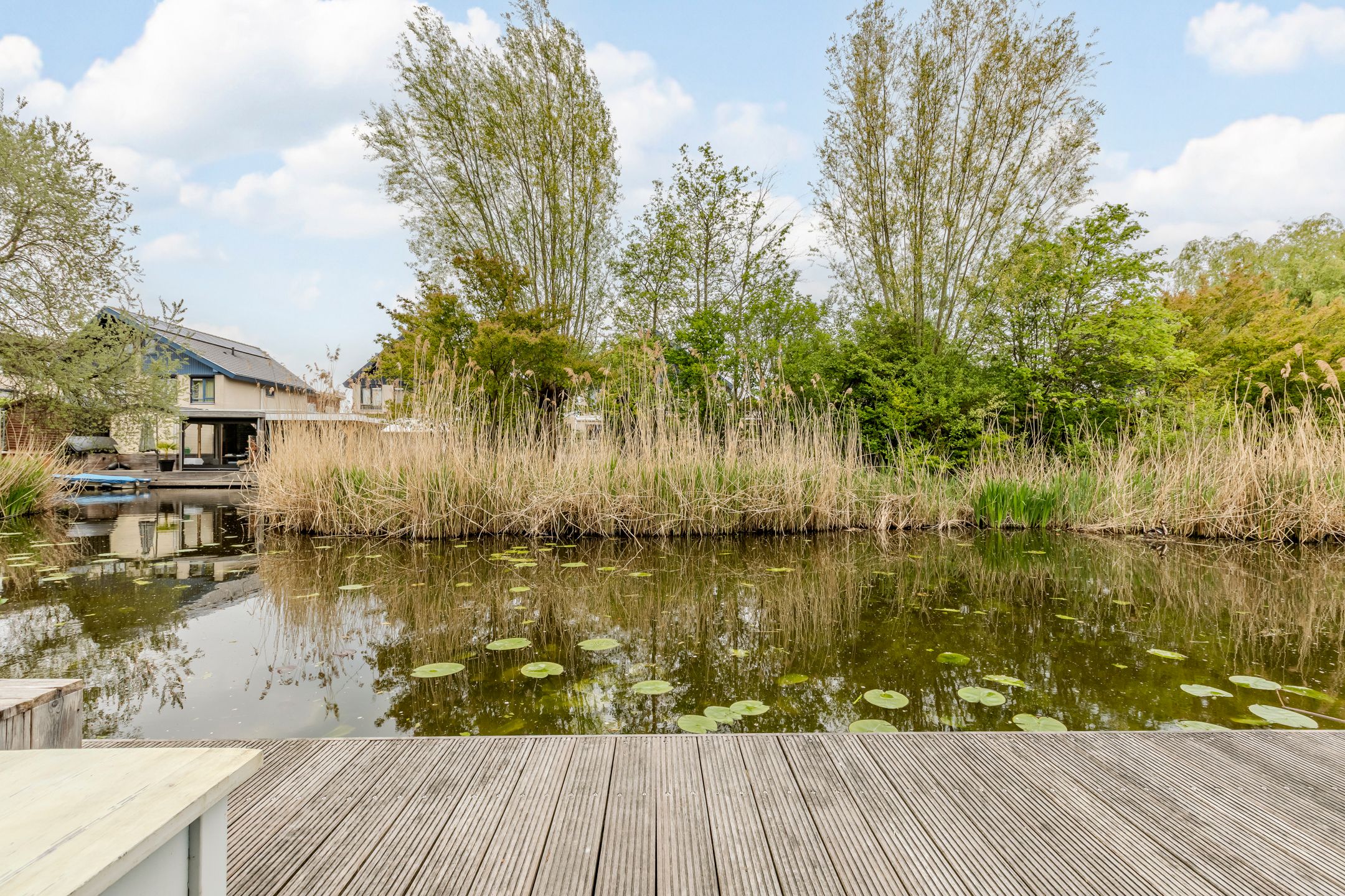 Foto 3 van Annie van Hattemtuin 25