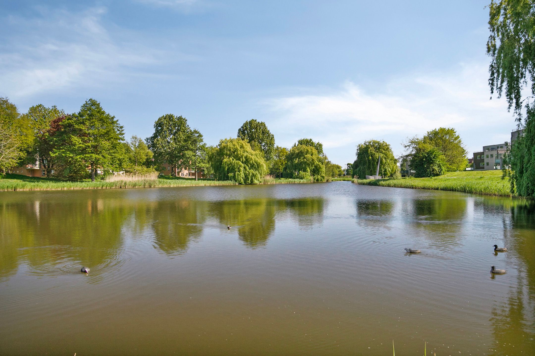 Photo 24 of Jacob van Maerlantstraat 4