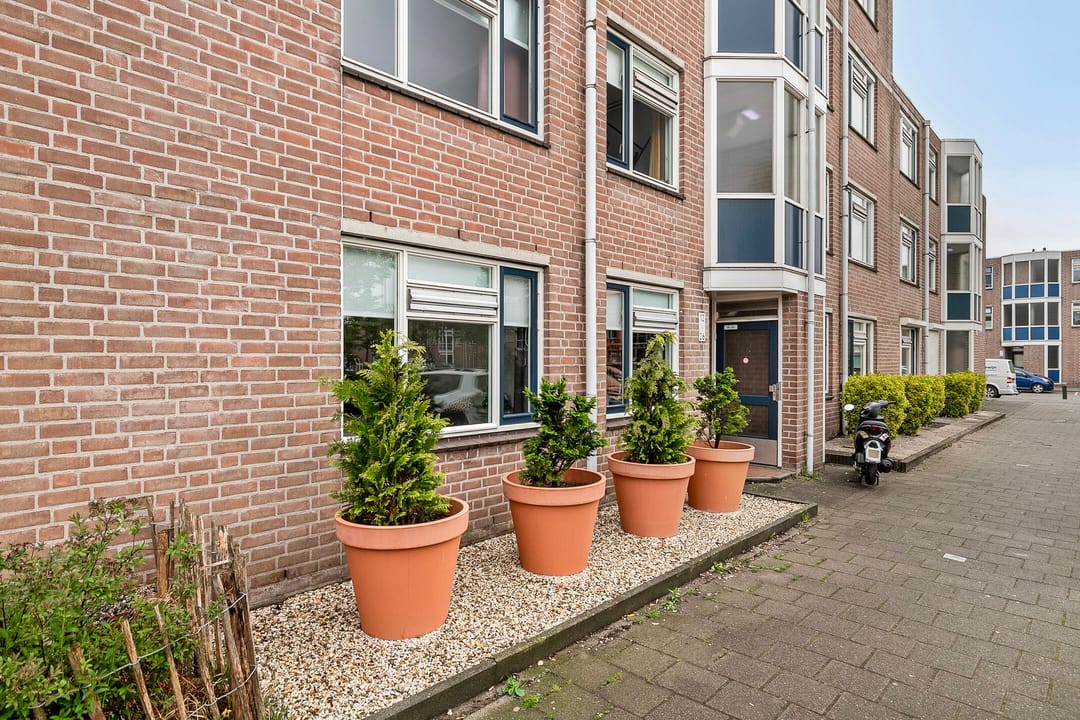 Foto 28 van Klompenmaker 14