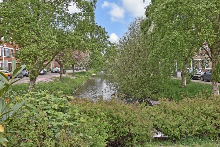 Foto 31 van Laan van Meerdervoort 1235