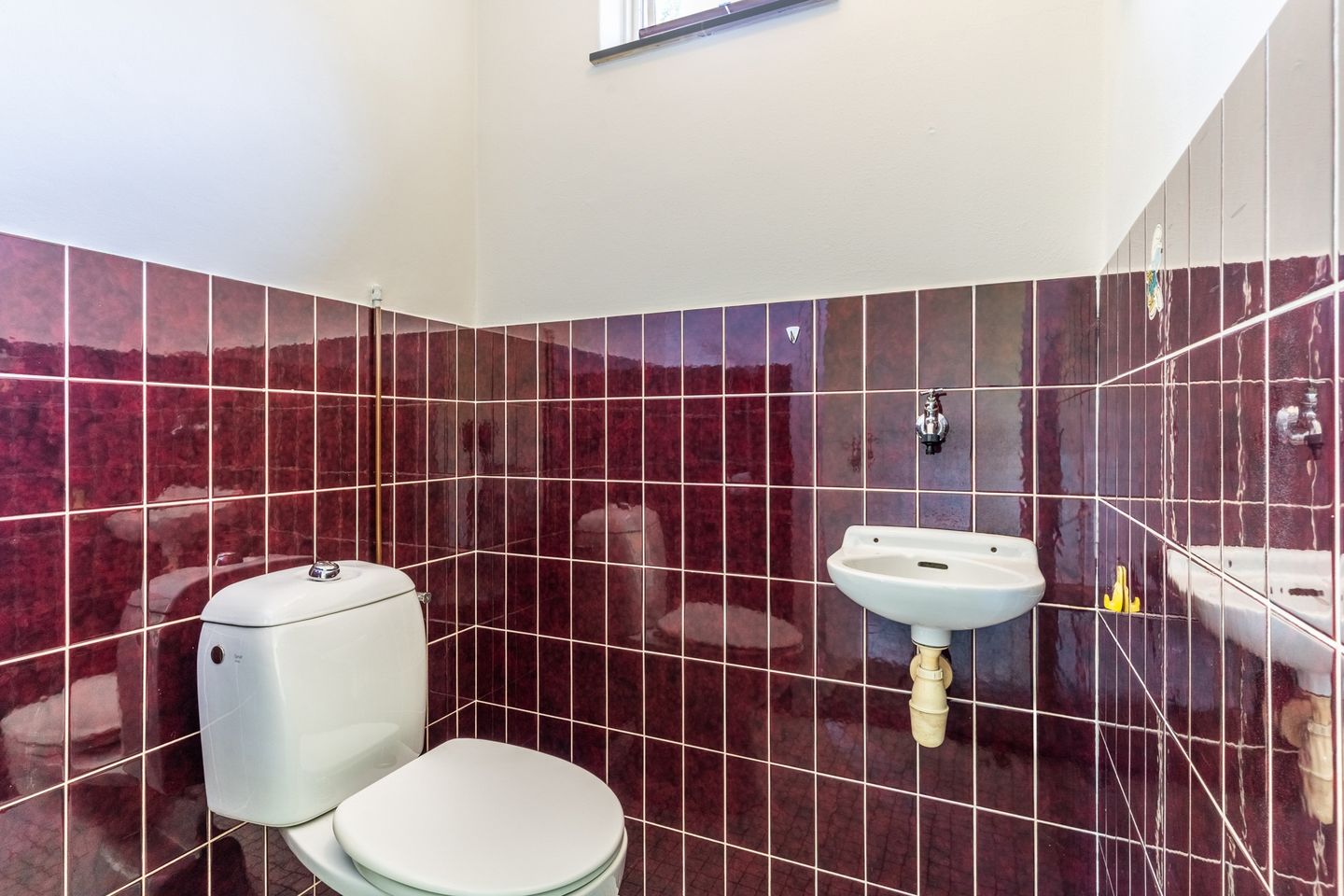 Foto 19 van Weijen 15