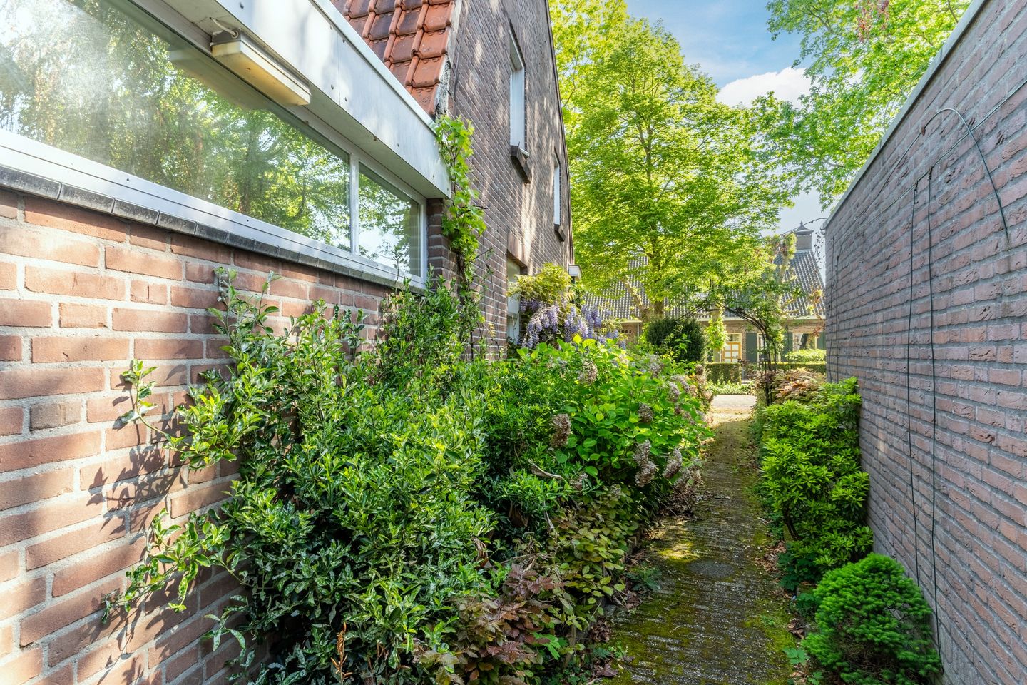 Foto 29 van Weijen 15