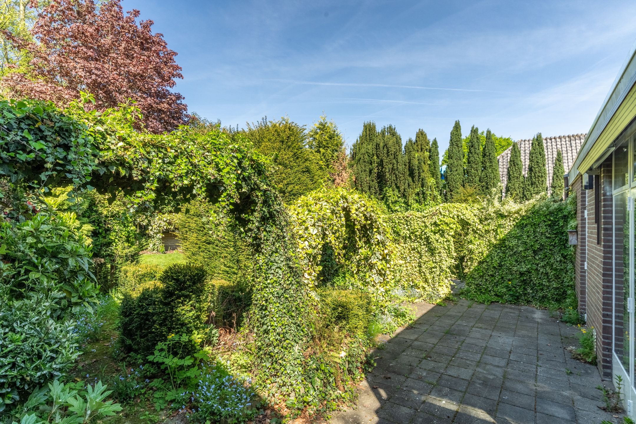 Foto 30 van Weijen 15